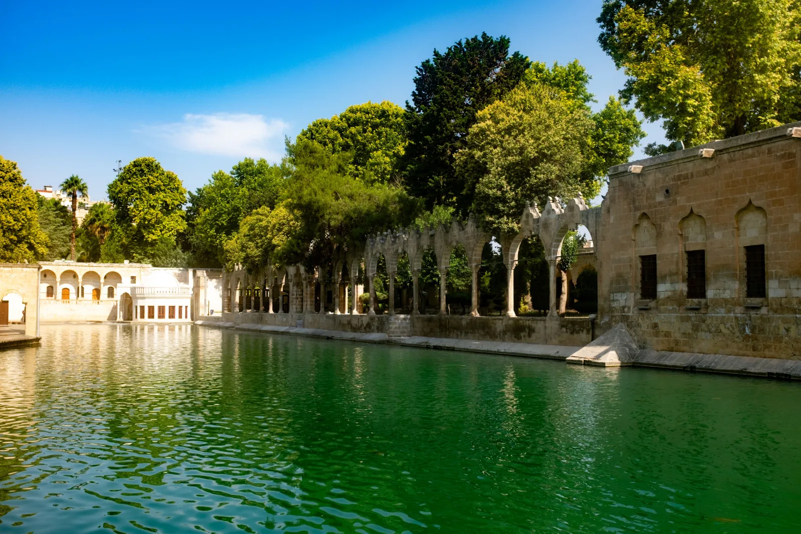 Şanlıurfa Araç Kiralama — Gaziantep'ten Teslimat